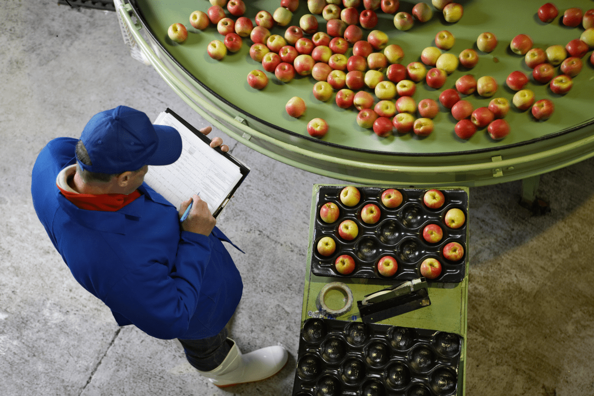 식품안전경영시스템 Food Safety Management | South Korea