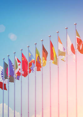 GMA (Global Market Access) 해외 인증
